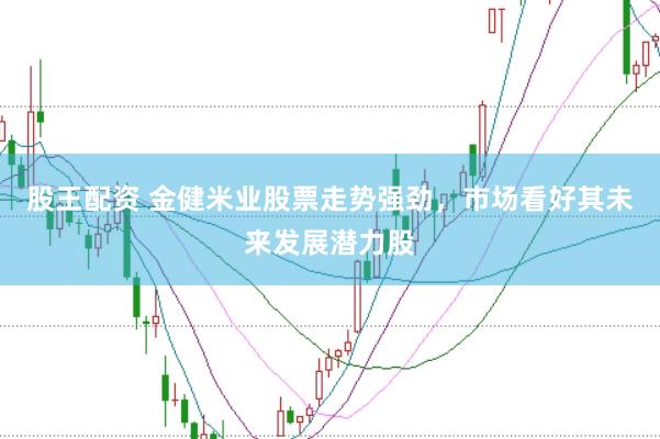 股王配资 金健米业股票走势强劲，市场看好其未来发展潜力股