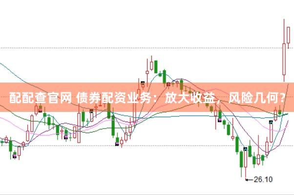 配配查官网 债券配资业务：放大收益，风险几何？