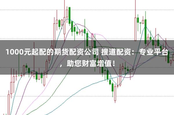 1000元起配的期货配资公司 搜道配资：专业平台，助您财富增值！