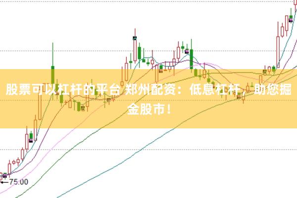 股票可以杠杆的平台 郑州配资：低息杠杆，助您掘金股市！
