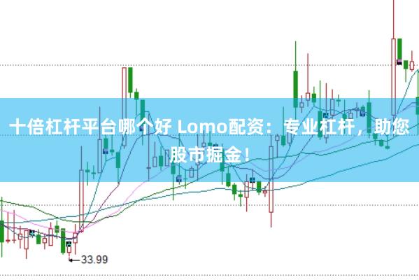 十倍杠杆平台哪个好 Lomo配资：专业杠杆，助您股市掘金！