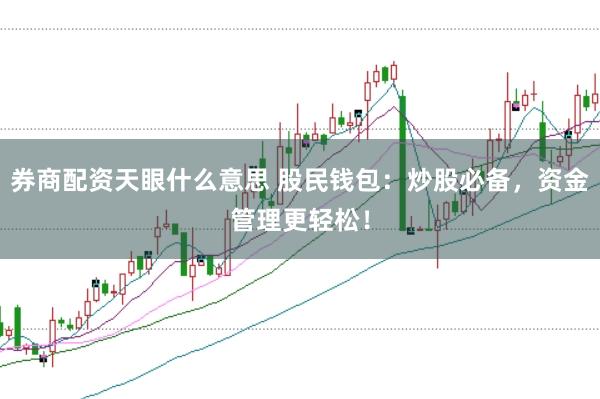 券商配资天眼什么意思 股民钱包：炒股必备，资金管理更轻松！