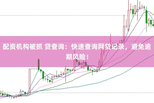 配资机构被抓 贷查询：快速查询网贷记录，避免逾期风险！