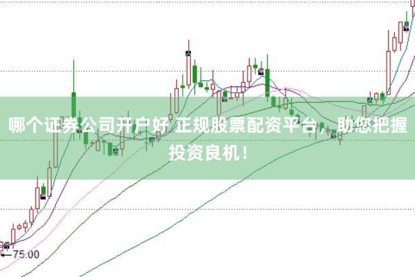 哪个证券公司开户好 正规股票配资平台，助您把握投资良机！