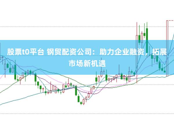 股票t0平台 钢贸配资公司：助力企业融资，拓展市场新机遇