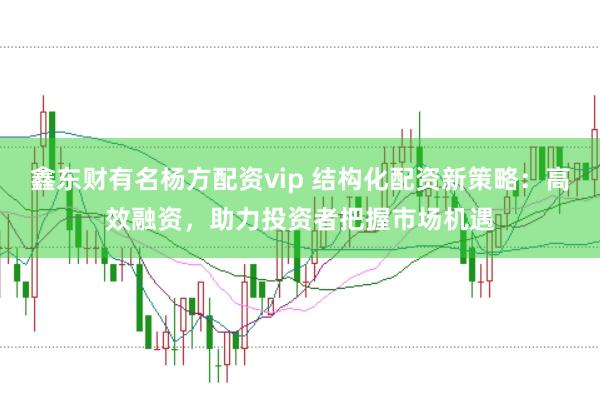 鑫东财有名杨方配资vip 结构化配资新策略：高效融资，助力投资者把握市场机遇