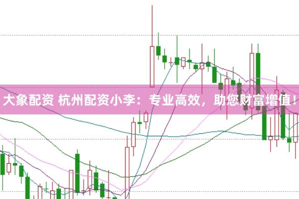 大象配资 杭州配资小李:专业高效,助您财富增值!