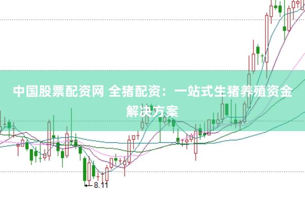 中国股票配资网 全猪配资:一站式生猪养殖资金解决方案
