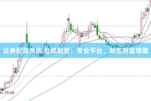 证券配资系统 杜德配资:专业平台,助您财富增值